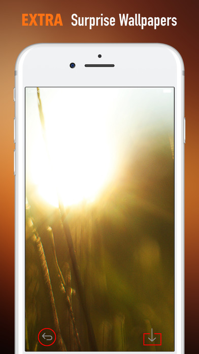 Shining Sun Wallpapers HD- Quotes and Art Pictures screenshot 3