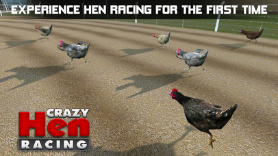 Hen Racing Simulator - Race Free Range Chickens screenshot 4