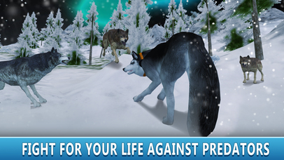 Husky Snow Dog Simulator 3D Full screenshot 3