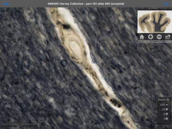 iPad Screenshot 3