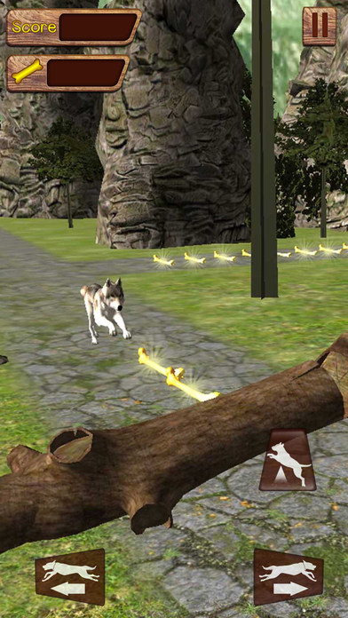 Crazy Dog Run Adventure Pro screenshot 4