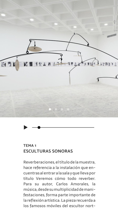Reverberaciones MUAC, UNAM screenshot 4