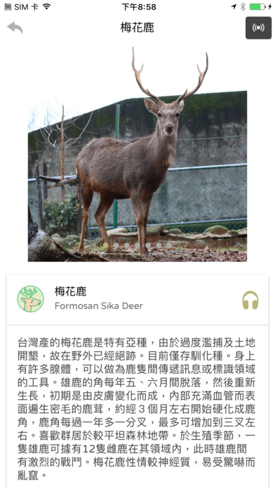 新竹動物園-動物大發現 screenshot 2