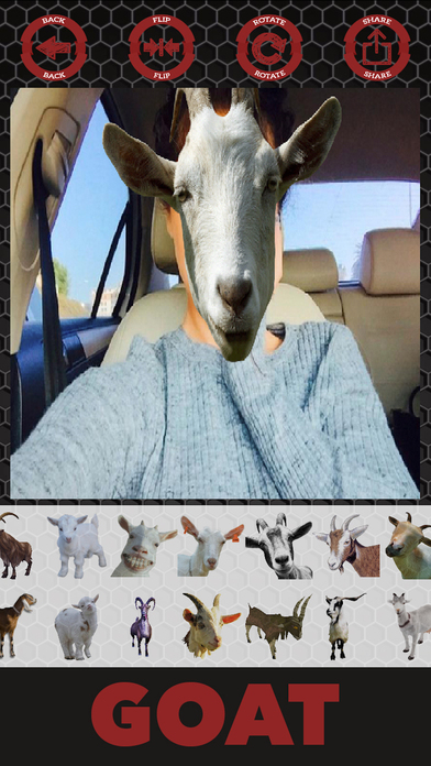Goat stickers - photo editor goat stickers screenshot 4