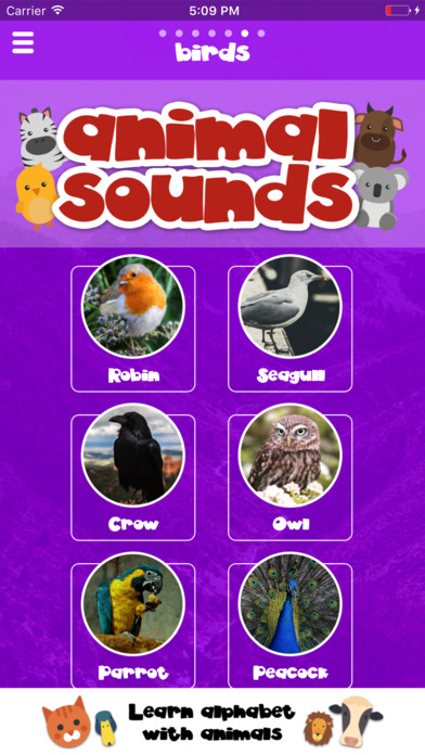 Animal Sounds and Alphabet screenshot 2