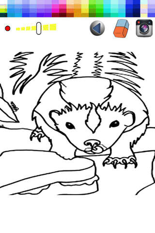 Mini Skunk Drawing Game - Paint screenshot 2