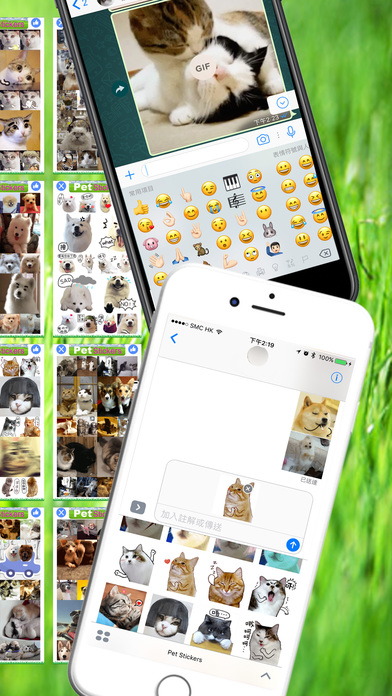Pet Stickers - Cats & Dogs Animated Gif Stickers screenshot 2