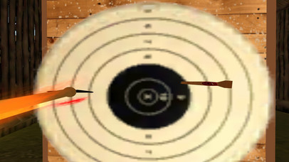 Bowman Skill Archery Trani screenshot 3