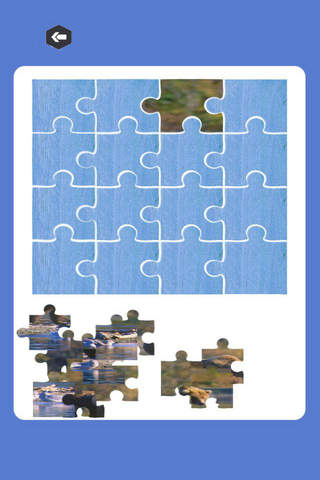Animal Bear Animal Jigsaw For Kids Puzzle screenshot 2