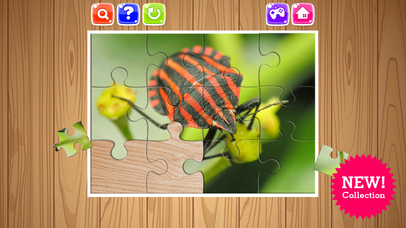 Bug And Insect Jigsaw Puzzle Game For Kids Toddler screenshot 3