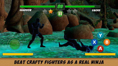 Shadow Kung Fu Fighting 3D - 2 Full screenshot 2
