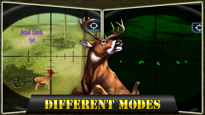 2017 Real Deer Hunting : Play Perfect Shooting screenshot 4
