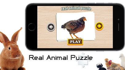 Real Animal Puzzle Jigsaw screenshot 4