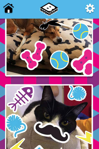 Boomerang Pet Photo Booth screenshot 2