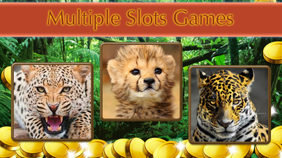 Angry Cheetah Slots screenshot 2