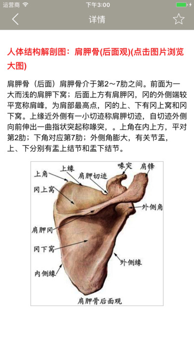 人体解剖图 - 全彩医学专业解剖图谱 screenshot 4