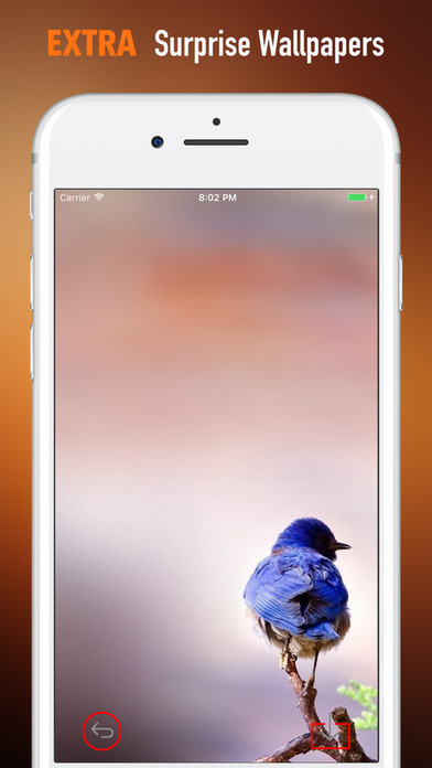 Blue Birds Wallpapers HD- Quotes and Art Pictures screenshot 3