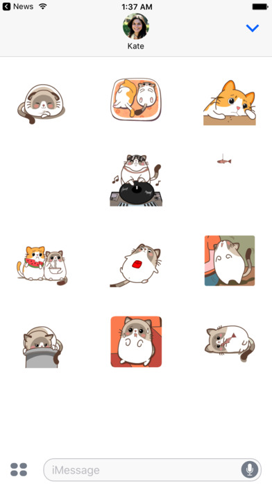 Dainty Cat Animated Stickers screenshot 2