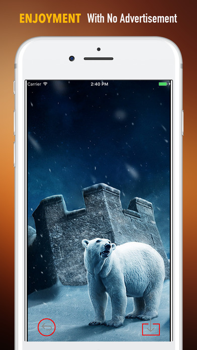 Polar Animals Wallpapers HD-Quotes Backgrounds screenshot 2