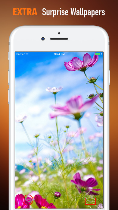 Spring Flowers Wallpapers HD- Quotes and Art screenshot 3
