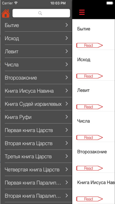 Russian Bible - Holy SYNOD Version screenshot 4
