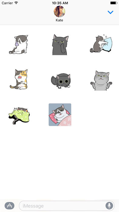 Life of Cats - Animated GIF Stickers screenshot 2