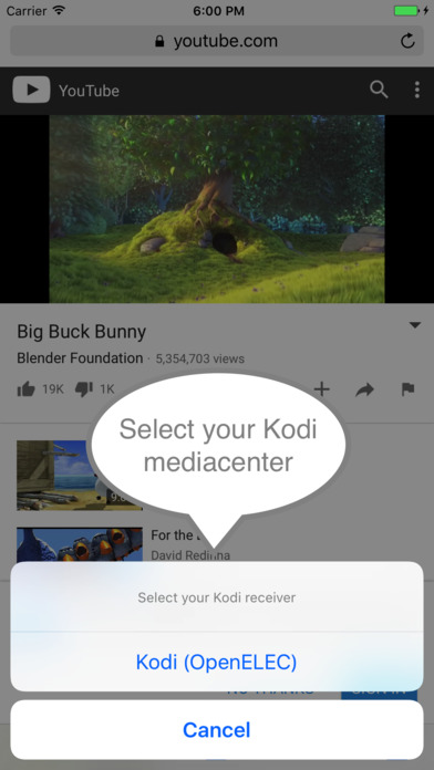 Stream to Kodi screenshot 2