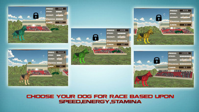Dog Stunts Sim 3D - Amazing Circus Game screenshot 3
