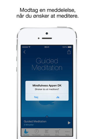 Mindfulness Appen DK screenshot 3