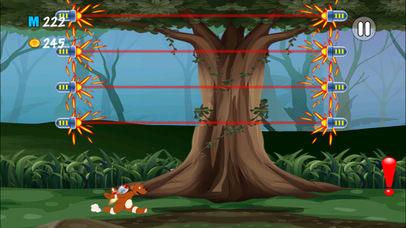 Jungle Rush Hunter pro screenshot 4