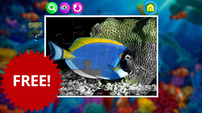 Clownfish and sea animals jigsaw puzzle games screenshot 4