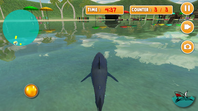 Wild Shark Simulator - Sharks Hunter Attack 2017 screenshot 2