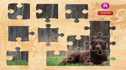 Dog Jigsaw Puzzles - Activities for Family screenshot 4