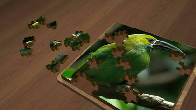 Super Jigsaws Birds screenshot 2