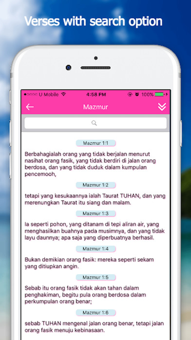 Bible App - Indonesian screenshot 3