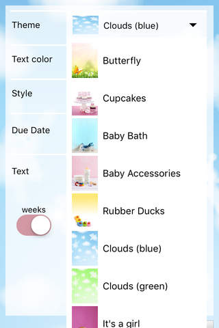 Baby Countdown 2023 screenshot 4