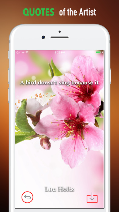 Wallpapers HD for Cherry Blossoms -Quotes and Art screenshot 4