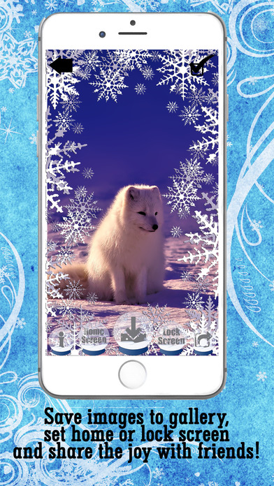 Winter Wallpaper & Snow HD Background Image.s Free screenshot 4