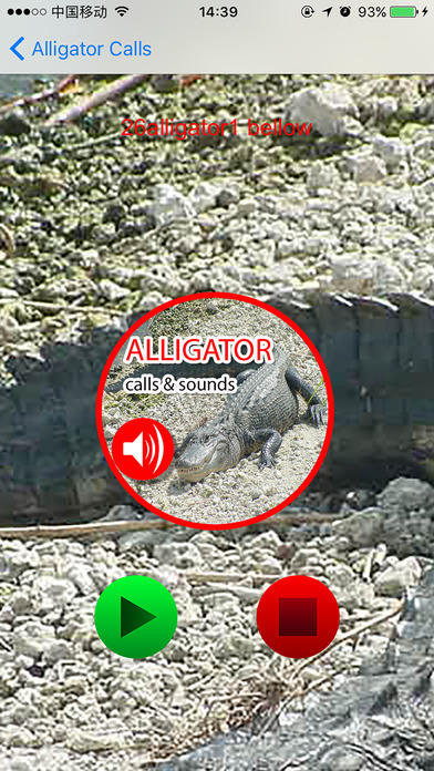 Alligator Real Calls & Sounds screenshot 3