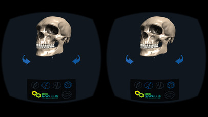 Head Anatomy - Virtual Reality Medicine screenshot 2