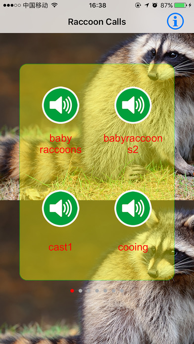 Raccoon Real Hunting Calls & Sounds screenshot 2