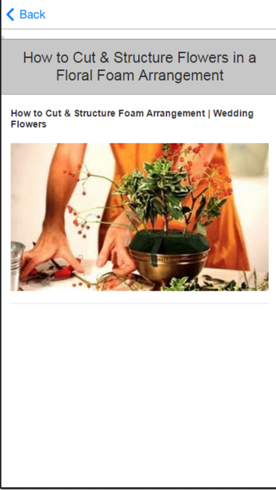 How to Flower Arranging - Tips & Tricks screenshot 4