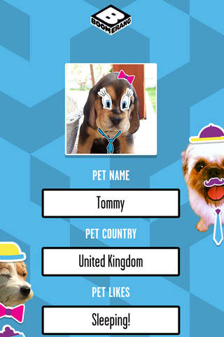 Boomerang Pet Photo Booth screenshot 4