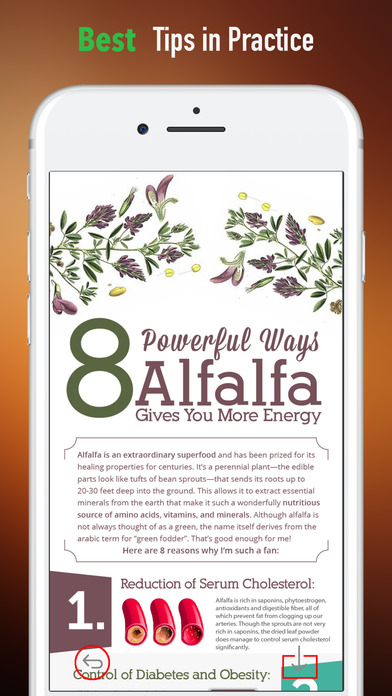 Alfalfa Herb Guide-Healthy Uses screenshot 4
