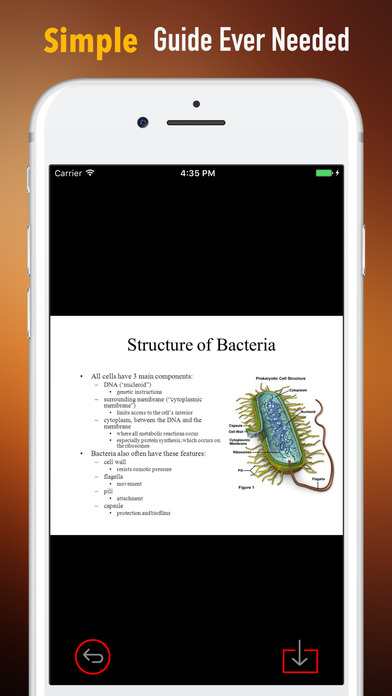 Bacteria Glossary-Study Guide and Terminology screenshot 2
