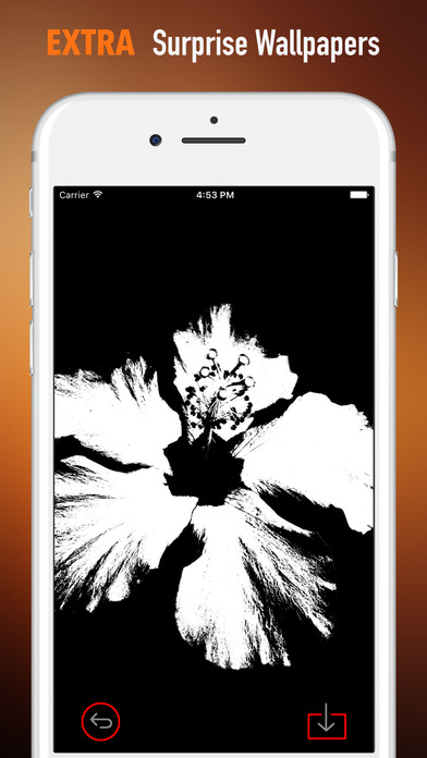 Black and White Flowers HD-Quotes and Art Pictures screenshot 3