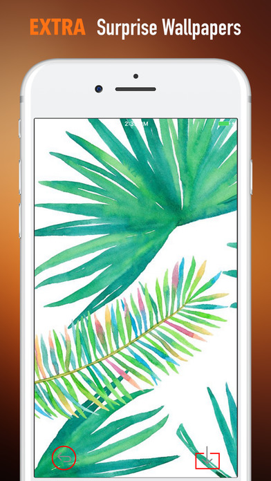 Palms Wallpapers HD-Quotes and Art Pictures screenshot 3