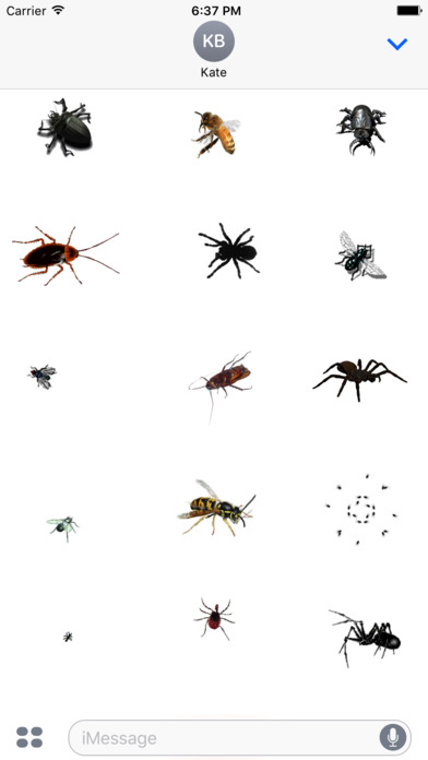 Animated Insects Sticker App screenshot 2