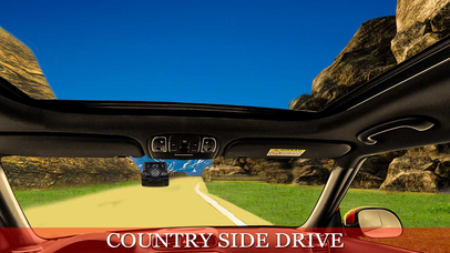 Mountain Luxury Car VR : Highway Drive Simulation screenshot 3