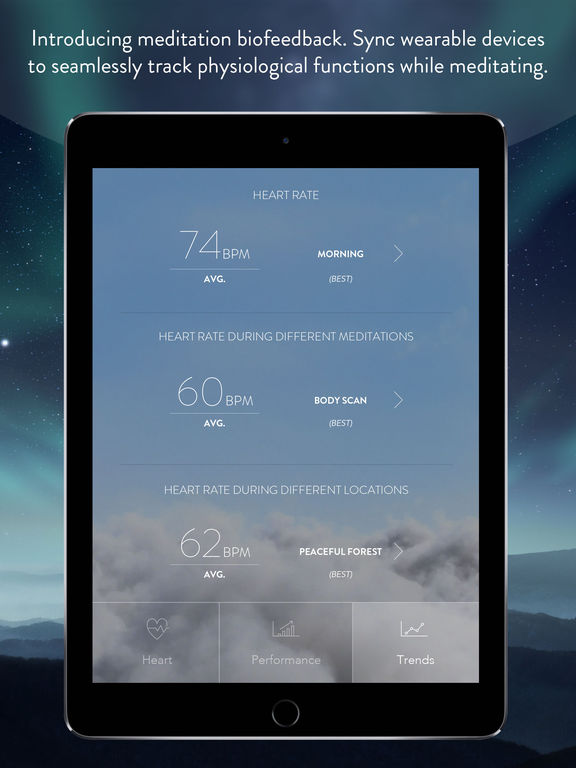 iPad Screenshot 5